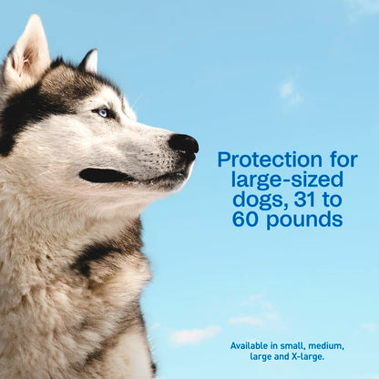 Adams Complete Indoor &amp; Outdoor Flea Treatment System for Large Dogs 31–60 lbs