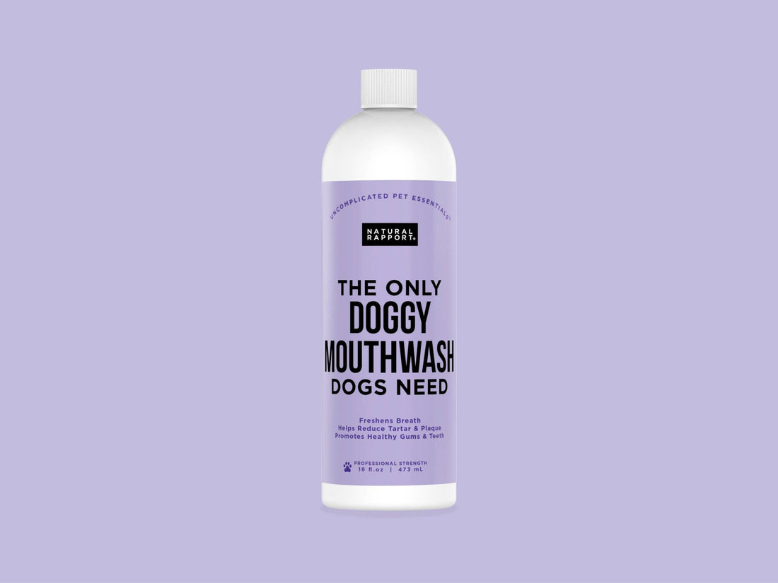 Natural Rapport Doggy Mouthwash