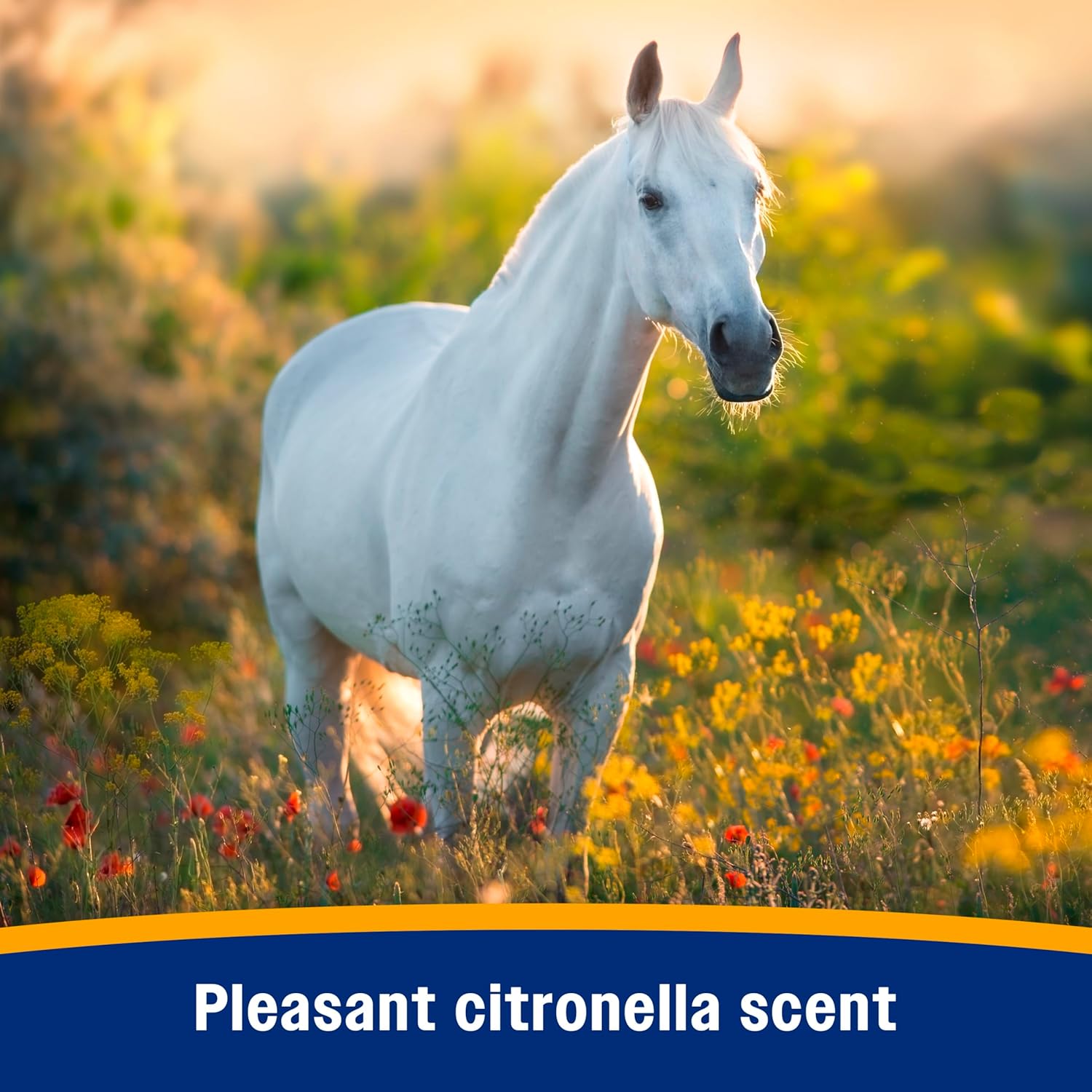 Farnam Bronco Equine Fly Spray Plus Citronella Repellent 32 oz. for Horses &amp; Dogs 2PK