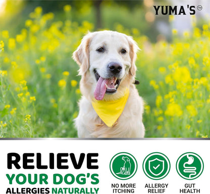 Dog Allergy Relief Chews 2-Pack Itchy Skin Relief Omega-3 Fish Oil Skin &amp; Coat