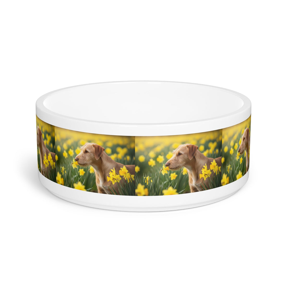 Ceramic Pet Bowl – 16 oz Dog Feeding Bowl