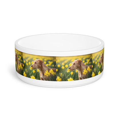 Ceramic Pet Bowl – 16 oz Dog Feeding Bowl
