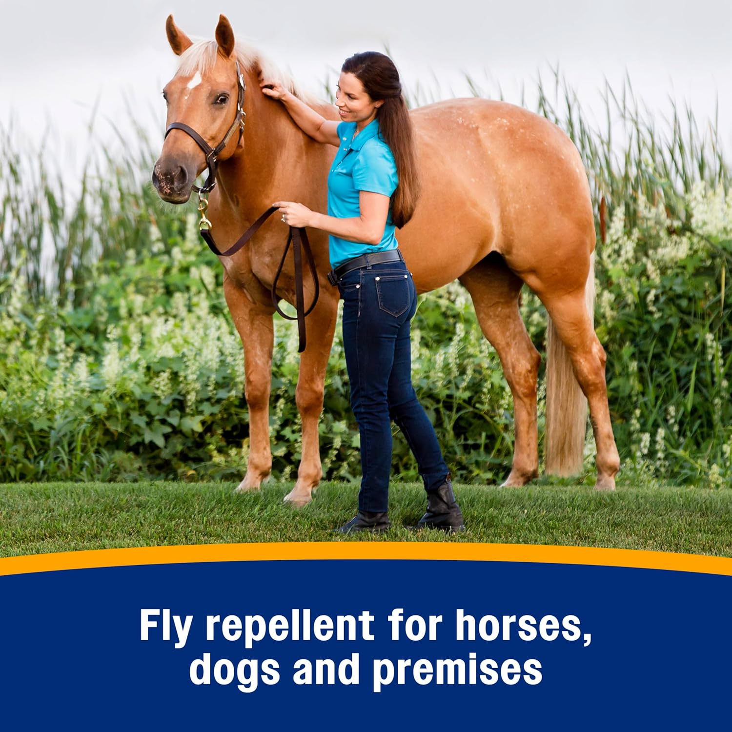 Farnam Bronco Equine Fly Spray Plus Citronella Repellent 32 oz. for Horses &amp; Dogs 2PK