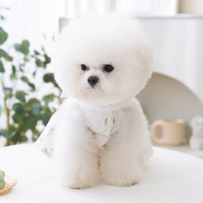 Double-layered Princess-style Skirt For Small And Medium-sized Dogs