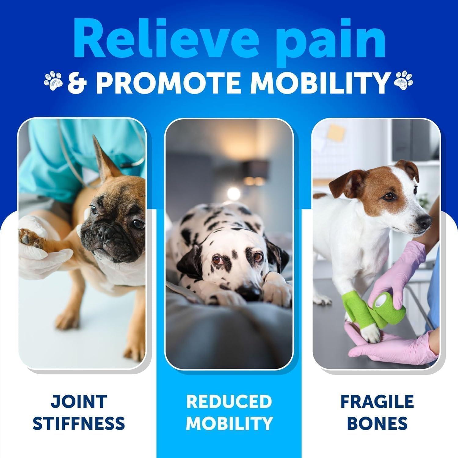 Hemp Hip &amp; Joint Supplement for Dogs 240 Count 2-Pack Glucosamine Chondroitin &amp; MSM