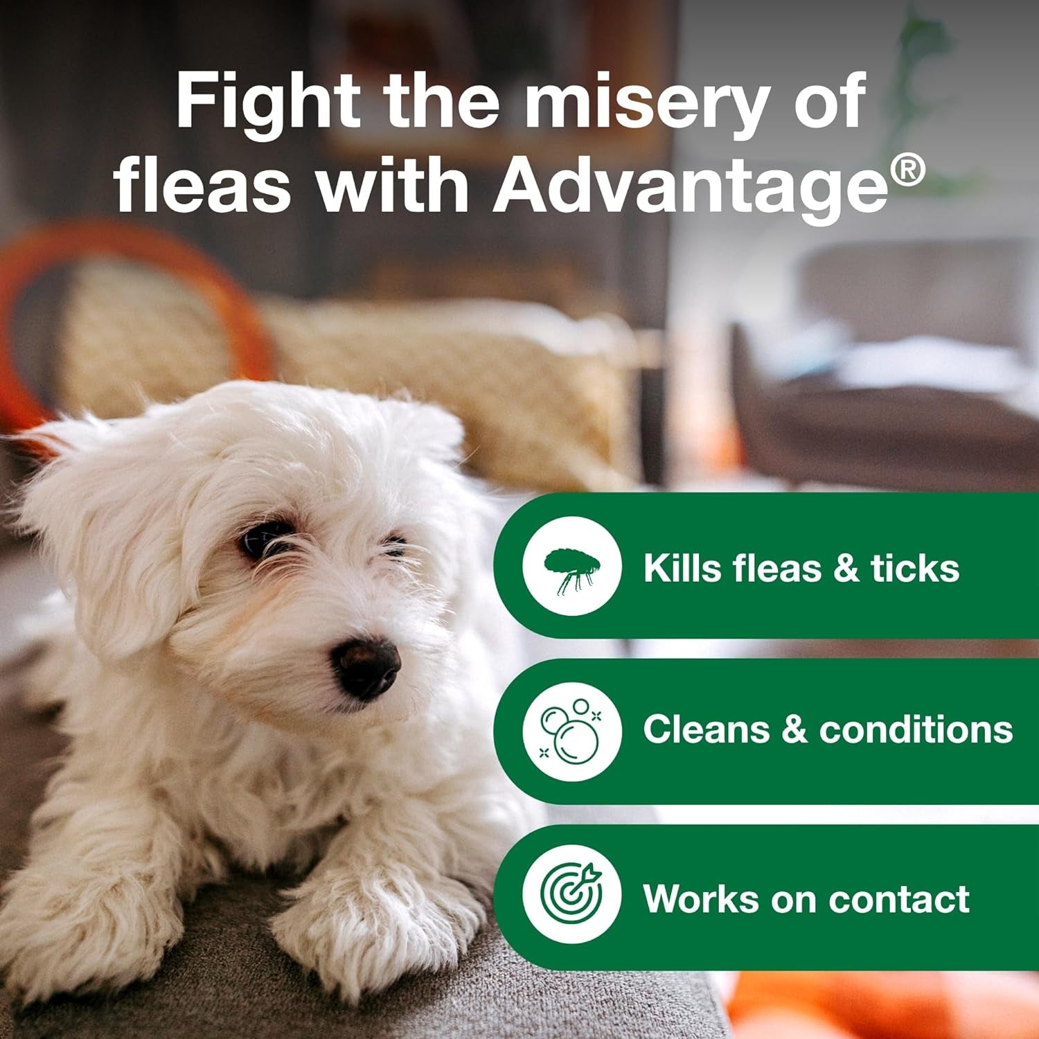 12 Oz Flea &amp; Tick Shampoo for Puppies &amp; Adult Dogs .