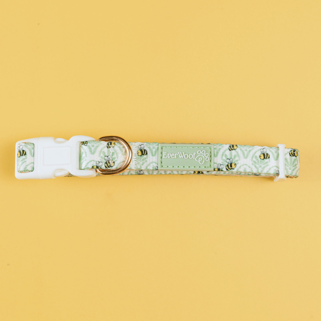 Little Honey Collar