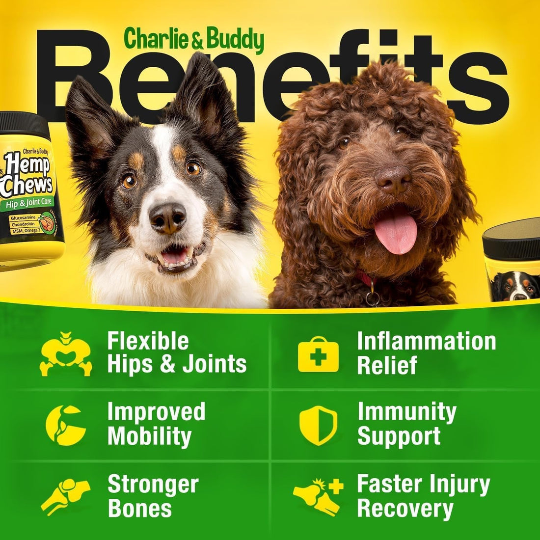 Dog Joint Supplement Glucosamine Chondroitin MSM Omega 3 Chews 120Ct
