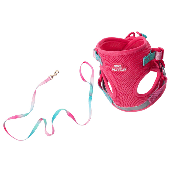 Stasia Cat Harness &amp; Leash Set