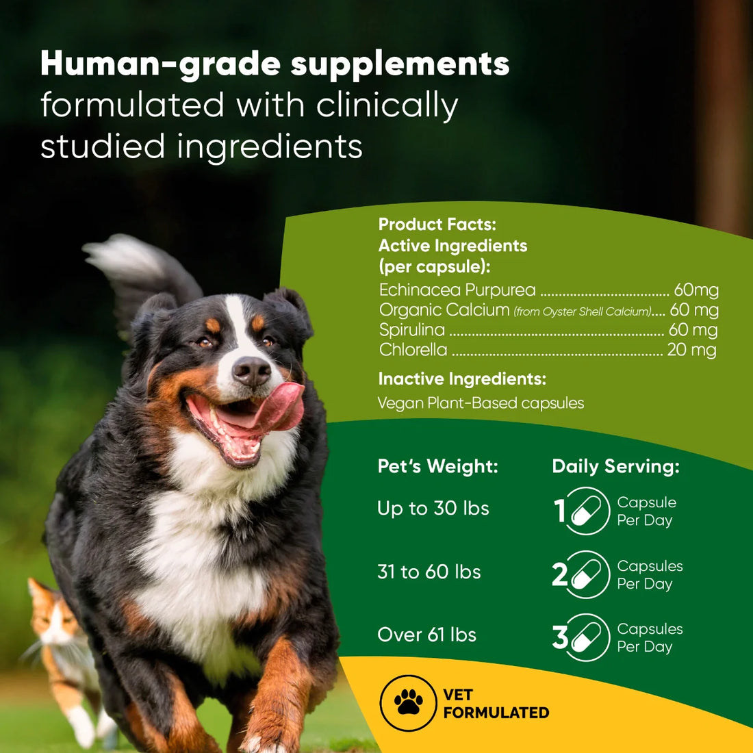 Spirulina &amp; Chlorella