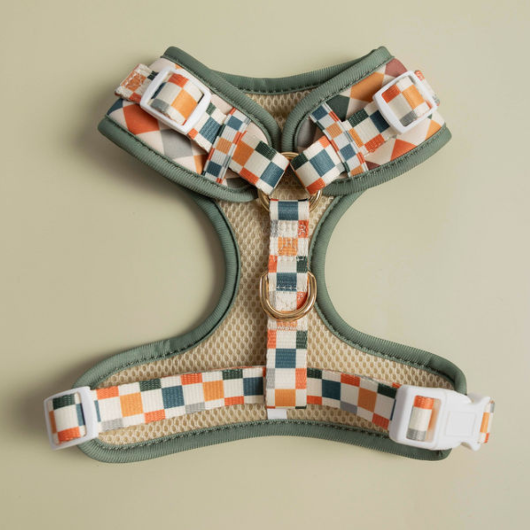 Sage &amp; Cider Adjustable Harness