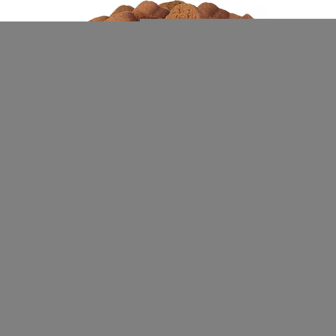 Dog Multivitamin Chews 15-in-1 MSM Hip &amp; Joint Health