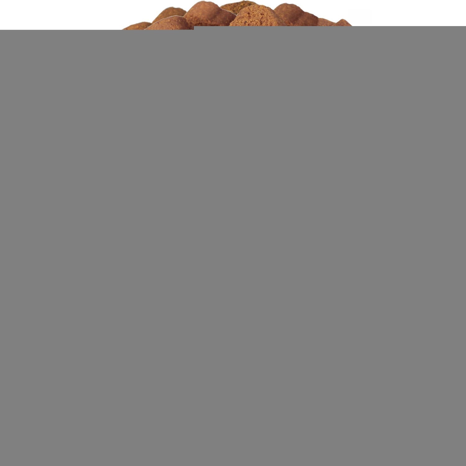 Dog Multivitamin Chews 15-in-1 MSM Hip &amp; Joint Health