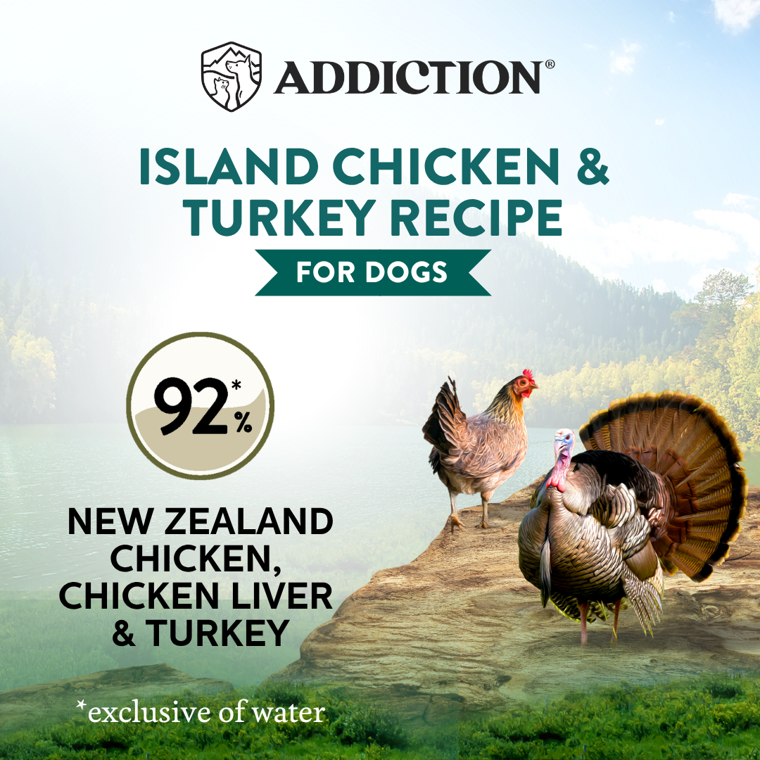 Wild Islands Island Chicken &amp; Turkey Recipe Premium Grain-free Canned Dog Food 185g