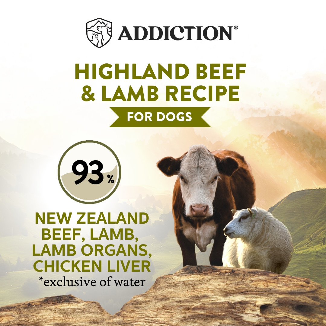 Wild Islands Highland Beef &amp; Lamb Recipe Premium Grain-free Canned Dog Food 185g