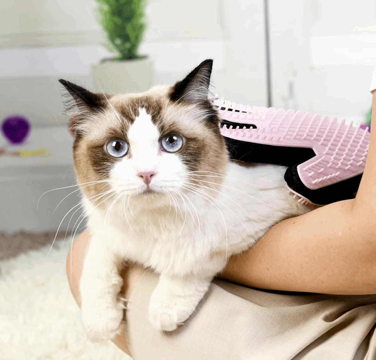 Double-Sided Pet Grooming Glove for Dogs &amp; Cats