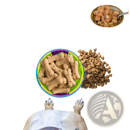 3-in-1 Dog Feeder Puzzle and Lick Mat Slow Feeder Bowl