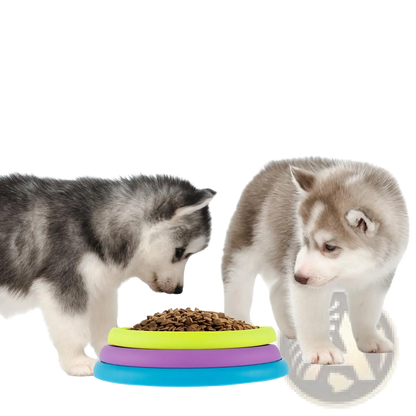 3-in-1 Dog Feeder Puzzle and Lick Mat Slow Feeder Bowl