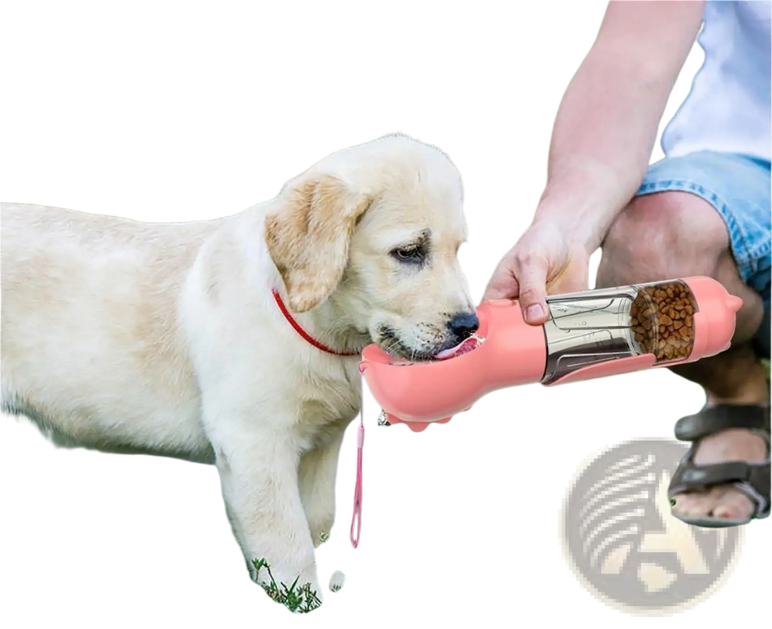 3-in-1 Portable Dog Water Bottle with Food and Bag Dispenser