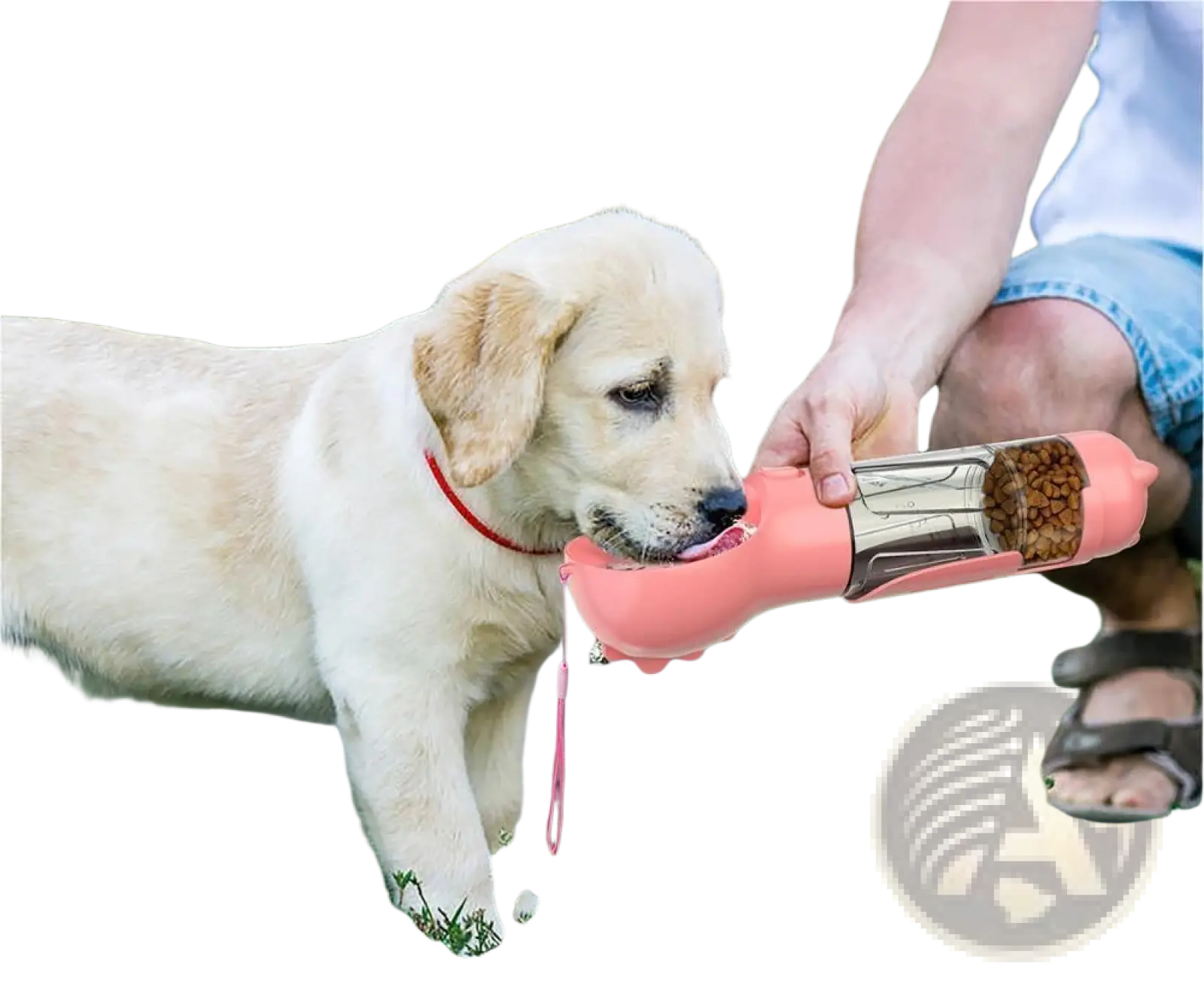 3-in-1 Portable Dog Water Bottle with Food and Bag Dispenser