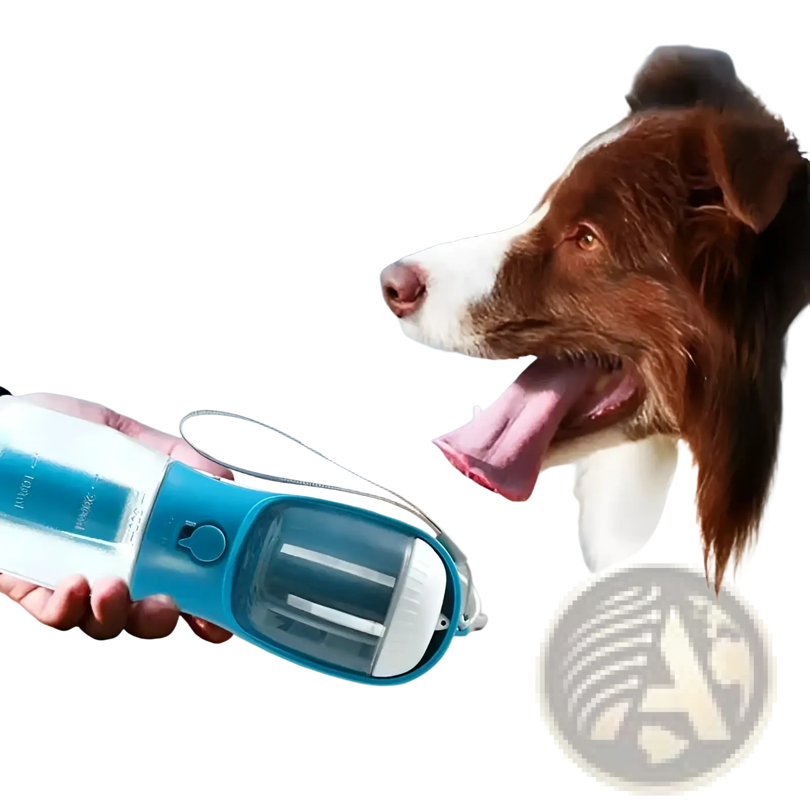 3-in-1 Portable Dog Water Bottle and Food Dispenser