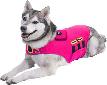 3-in-1 Dog Anxiety Vest with Music &amp; Aromatherapy Calming Coat XXS–XXL