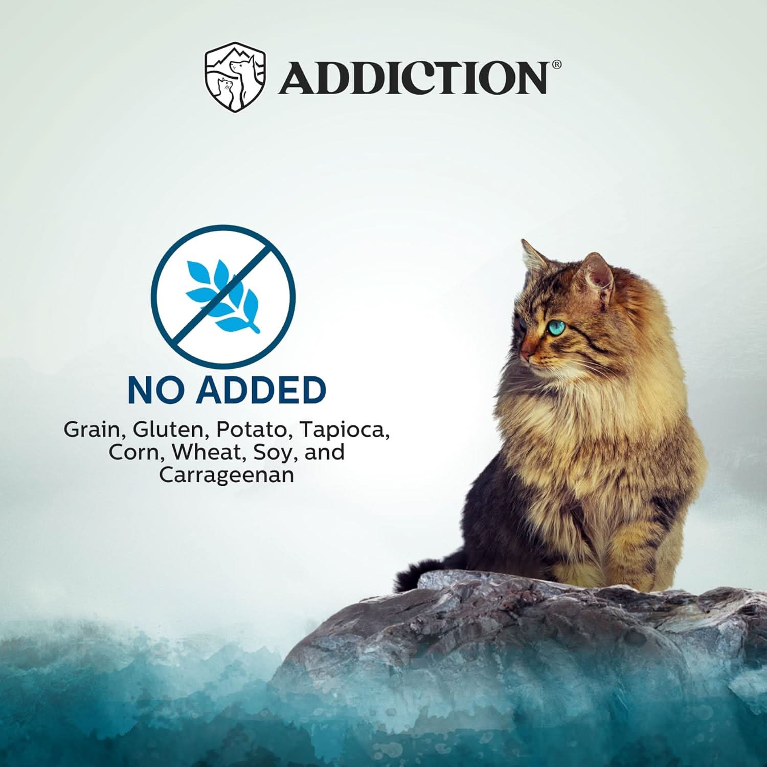 Wild Islands Pacific Catch Premium Ocean Fish &amp; Salmon Grain-Free Canned Cat Food