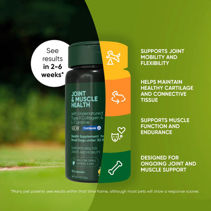 Joint &amp; Muscle Health