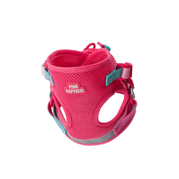 Stasia Cat Harness &amp; Leash Set