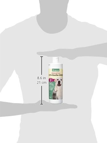 NaturVet – ArthriSoothe-Gold Advanced Care Liquid | Level 3 Advanced Joint Care | Supports Healthy Hip &amp; Joint Function | Enhanced with Glucosamine, MSM &amp; Chondroitin | For Dogs &amp; Cats | 16 oz Liquid