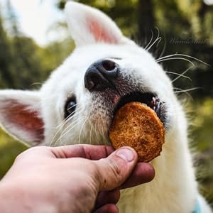 Farm To Pet - Dog Training Treats - Chicken Chips, Single Ingredient - 12 oz, Lean, All Natural, Healthy Dog Treats for Small, Medium, Large Breeds, &amp; Puppies, Made in USA