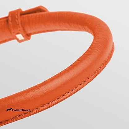 CollarDirect Rolled Leather Dog Collar, Soft Padded Round Puppy Collar, Handmade Genuine Leather Collar Dog Small Large Cat Collars 13 Colors (13-16 Inch, Orange Textured)