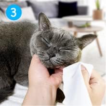 Mooncat Cat Acne Chin Treatment Oil &amp; Cleaner - Feline Chin Acne Care for Blackheads, Kitty Acne, Cat Chin Acne Cleaner, Fast Acting, No-Rinse Ease (Wipe Off), Safe Lickable - 5 fl oz (150ml)