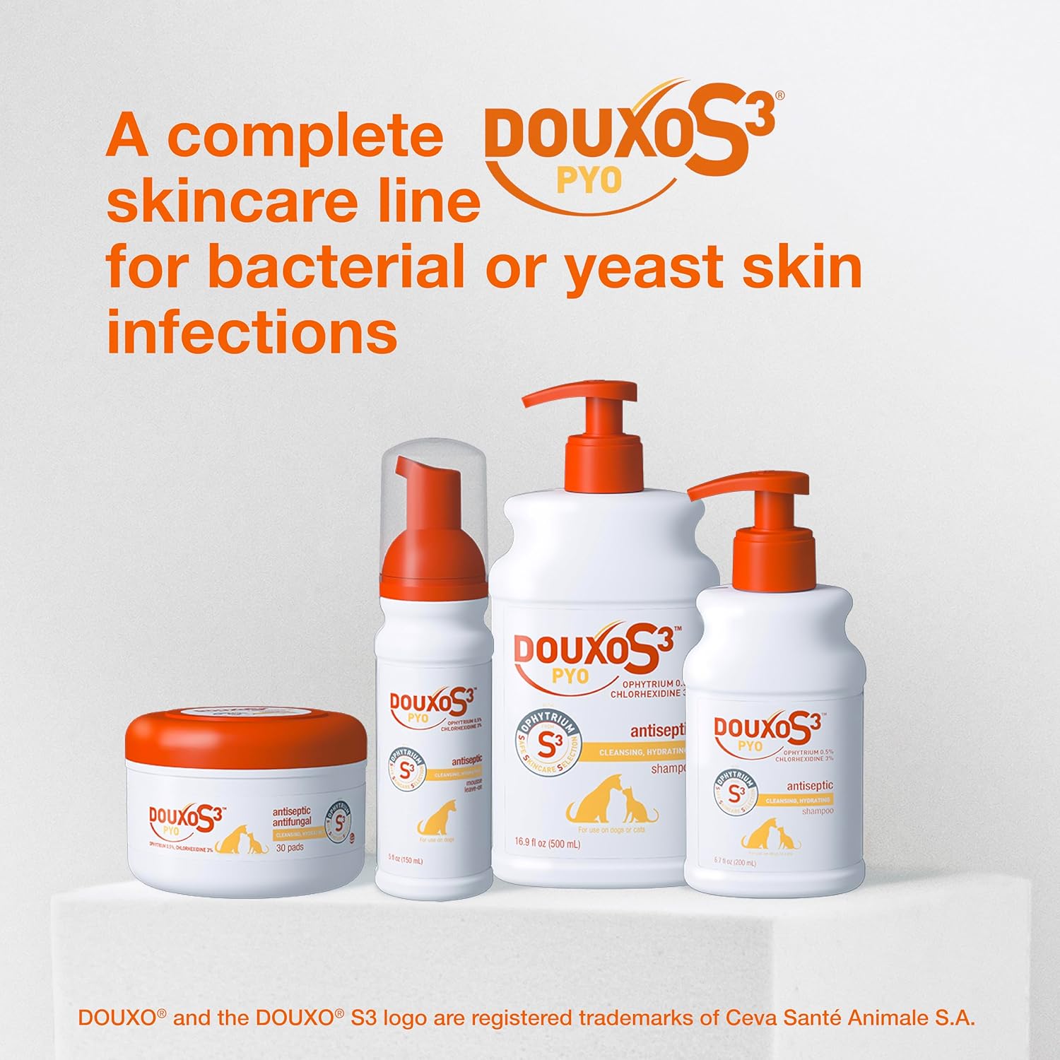 Douxo S3 PYO Shampoo 6.7 oz Dog &amp; Cat Antiseptic Itch Relief Skin Care