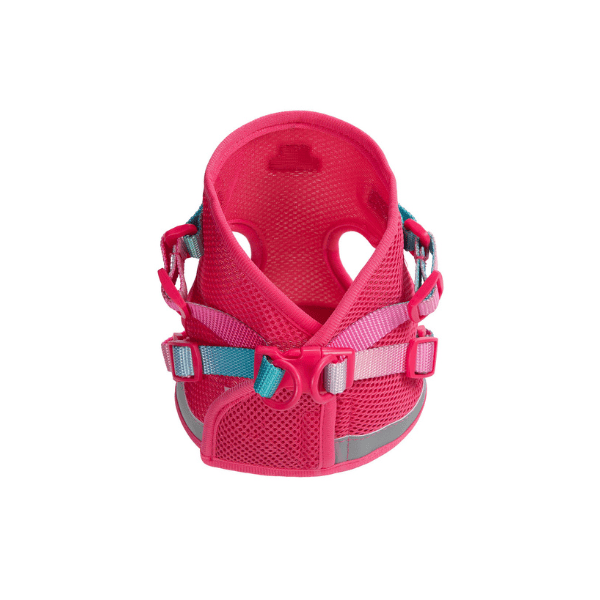 Stasia Cat Harness &amp; Leash Set