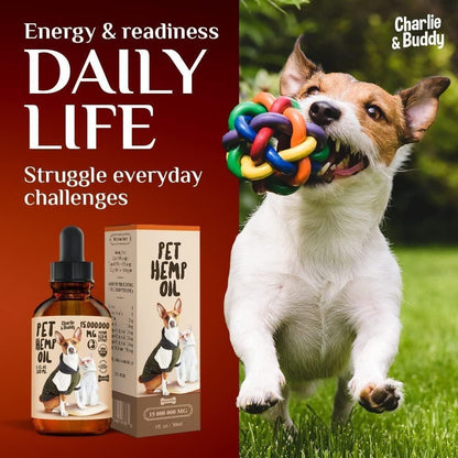Hemp Oil for Dogs &amp; Cats Hip &amp; Joint &amp; Skin Support
