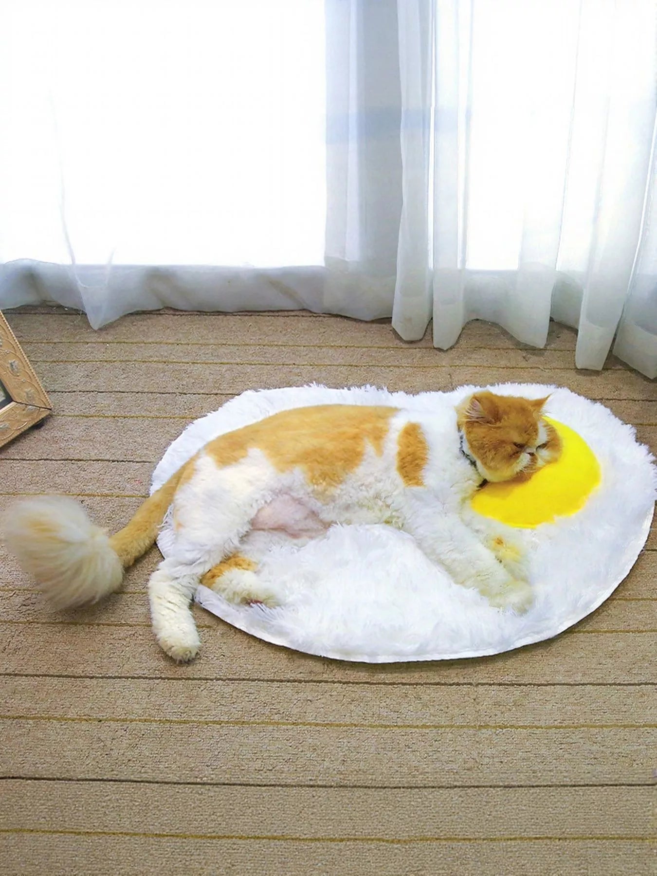 Fried Egg Design Plush Pet Mat