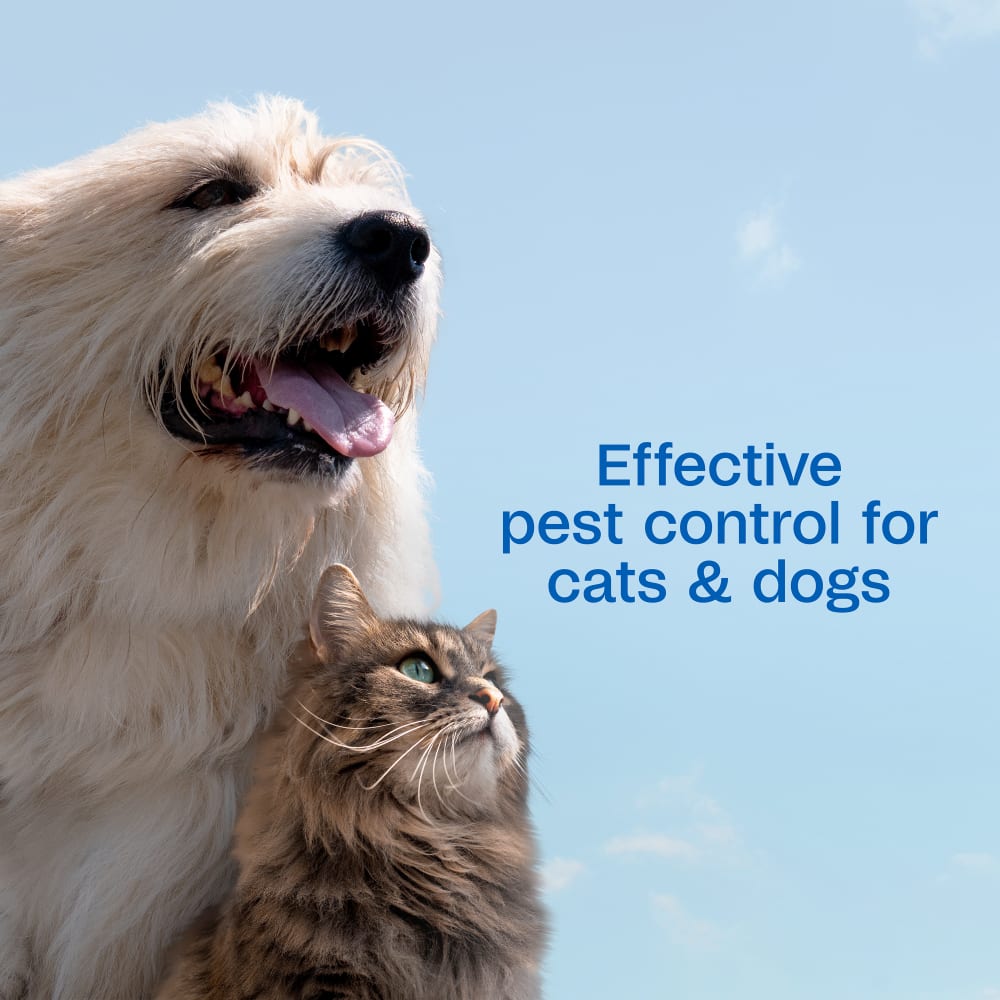 Adams Plus Pet Fleas &amp; Ticks Spray for Cats and Dogs 32 oz.