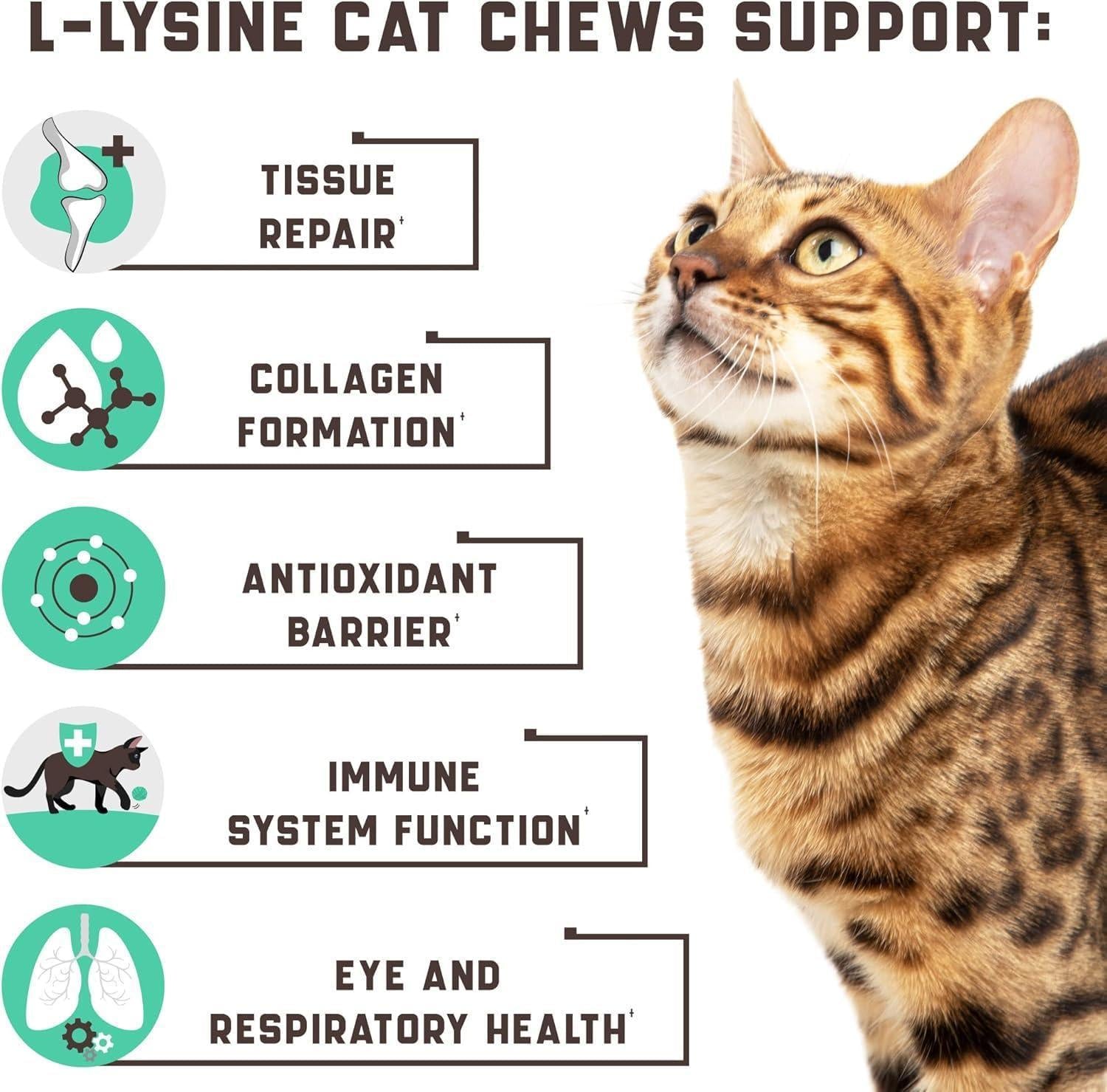 Lysine Cat Treats Immune Support Respiratory &amp; Eye Health