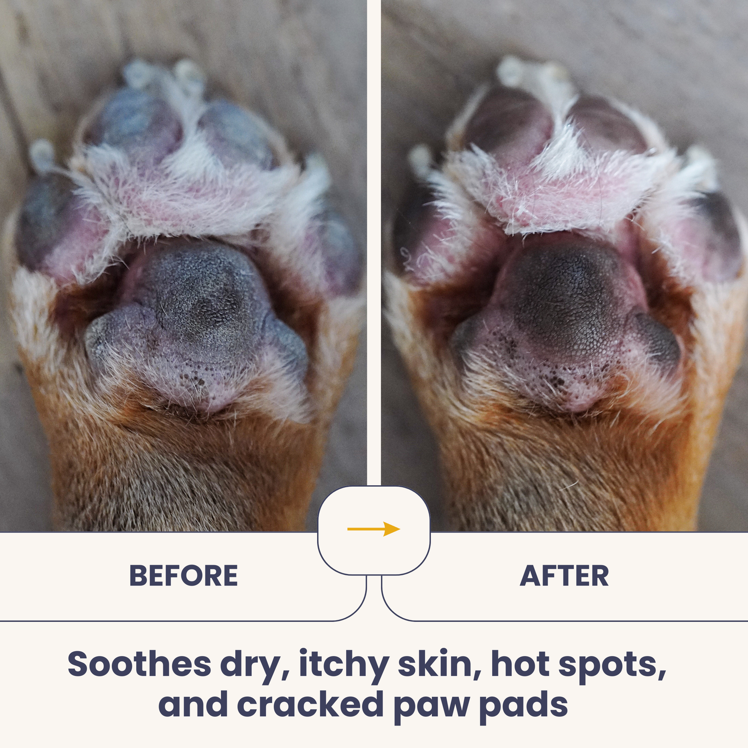 100% Organic Virgin Coconut Oil for Dogs &amp; Cats