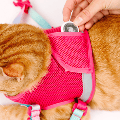 Stasia Cat Harness &amp; Leash Set