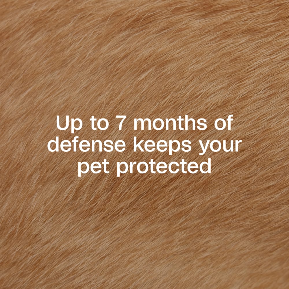 Adams Plus Flea &amp; Tick Collar for Small Dogs &amp; Puppies 7 Month Protection