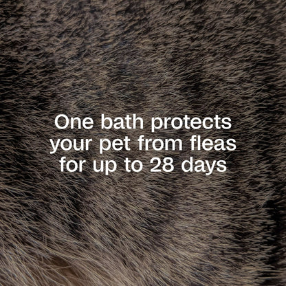 Adams Plus Flea and Tick Shampoo with Precor for Cats and Dogs Gallon