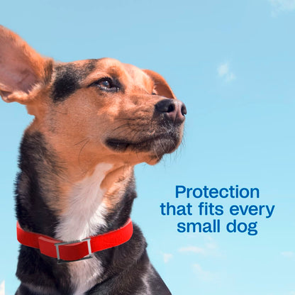 Adams Plus Flea &amp; Tick Collar for Small Dogs &amp; Puppies 7 Month Protection