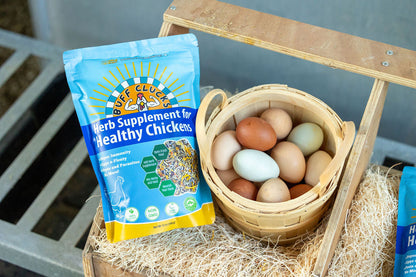 Herb Supplement For Backyard Chickens