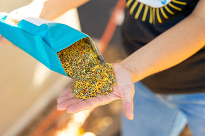 Herb Supplement For Backyard Chickens