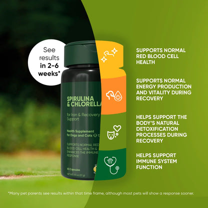 Spirulina &amp; Chlorella