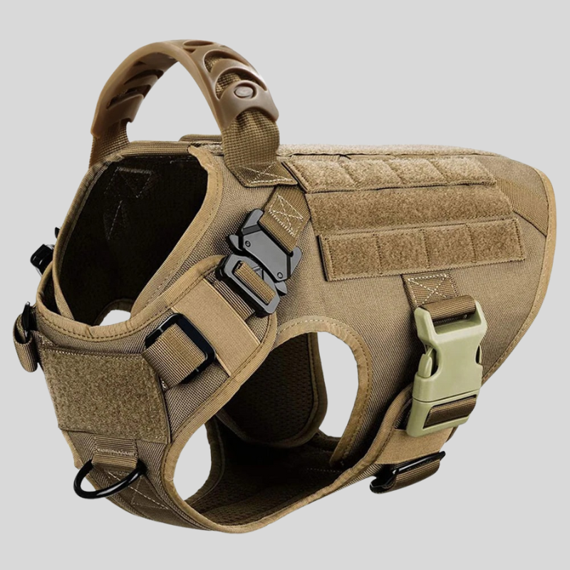 Large Dog Harness &amp; Leash Set – Training Vest for Big Breeds