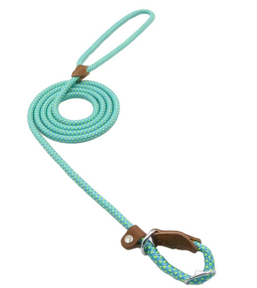 Nylon Pup Set – Premium Dog Collar &amp; Leash | Reinforced Stitching, Soft Adjustable Fit &amp; Modern Style