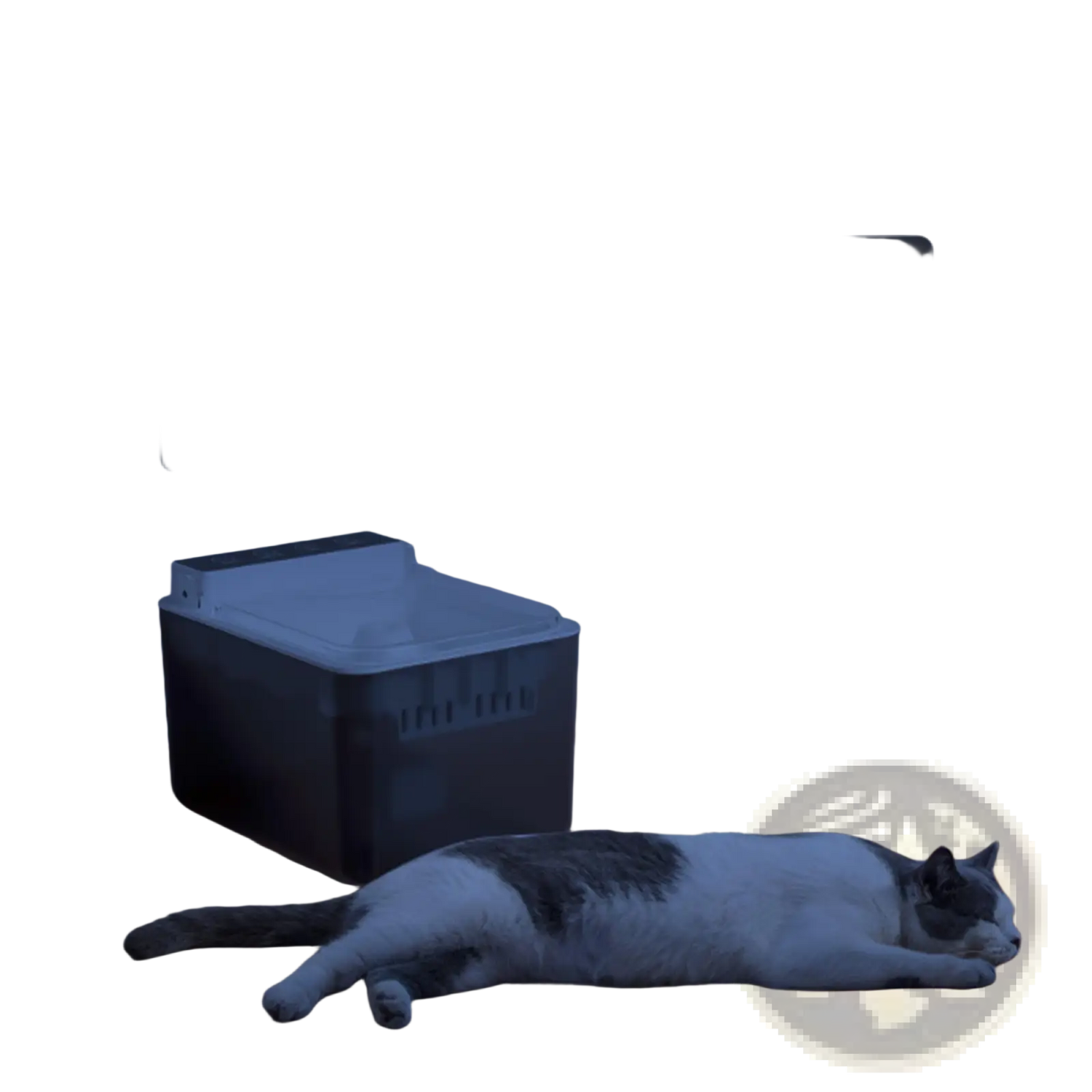 3l Radar Sensing Pet Water Fountain for Cats and Dogs